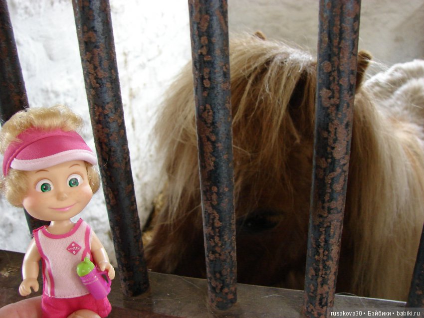 Музей под открытым небом - Бимиш, Beamish