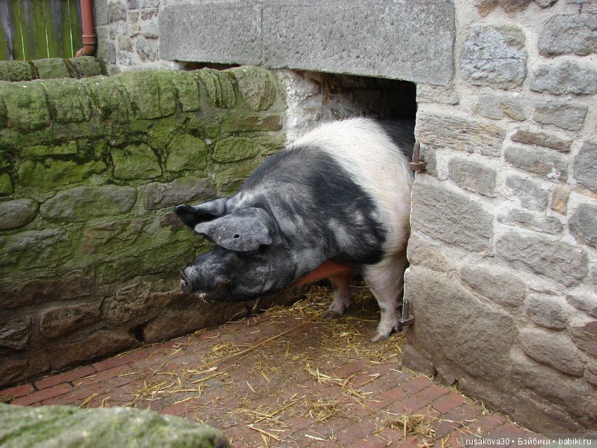 Музей под открытым небом - Бимиш, Beamish