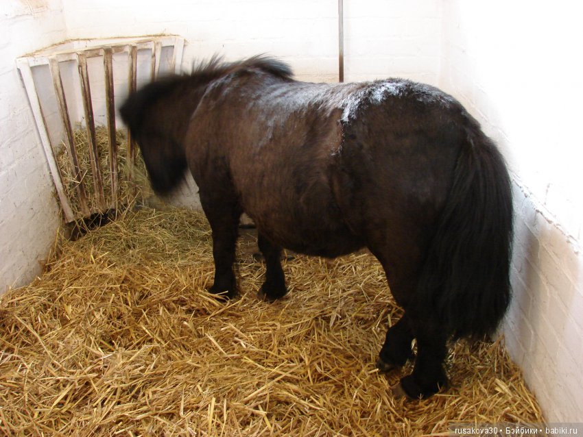 Музей под открытым небом - Бимиш, Beamish