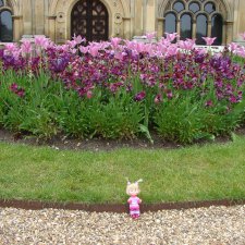 Особняк Одли Энд (Audley End House ),все в сад !
