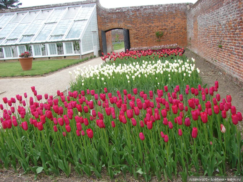Особняк Одли Энд (Audley End House ),все в сад