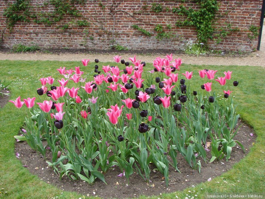 Особняк Одли Энд (Audley End House ),все в сад