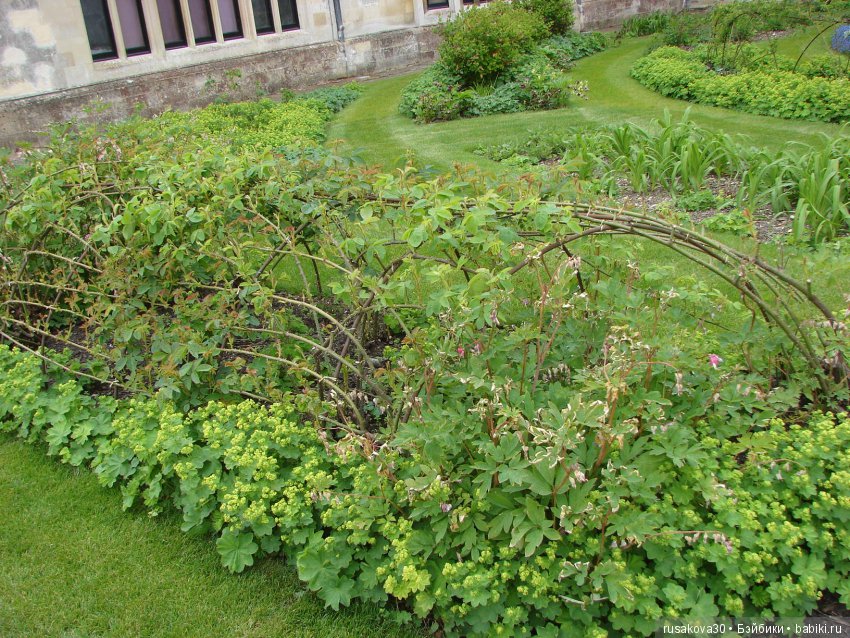 Особняк Одли Энд (Audley End House ),все в сад