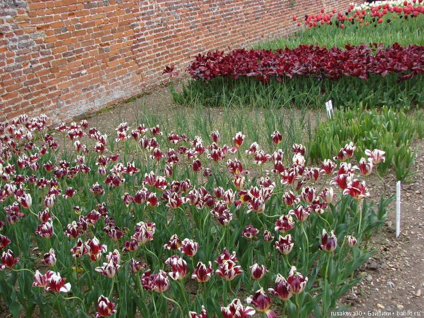 Особняк Одли Энд (Audley End House ),все в сад