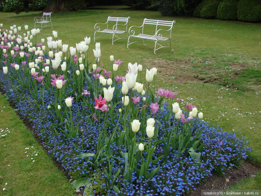 Особняк Одли Энд (Audley End House ),все в сад (фото 7)