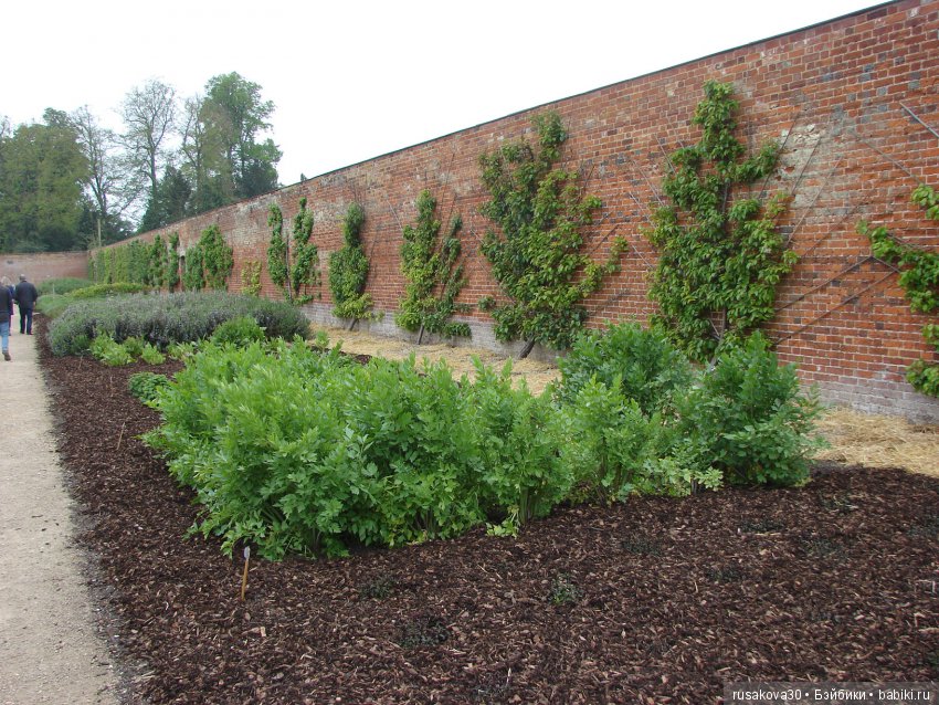 Особняк Одли Энд (Audley End House ),все в сад