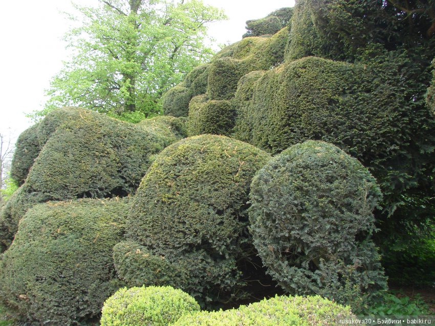 Особняк Одли Энд (Audley End House ),все в сад