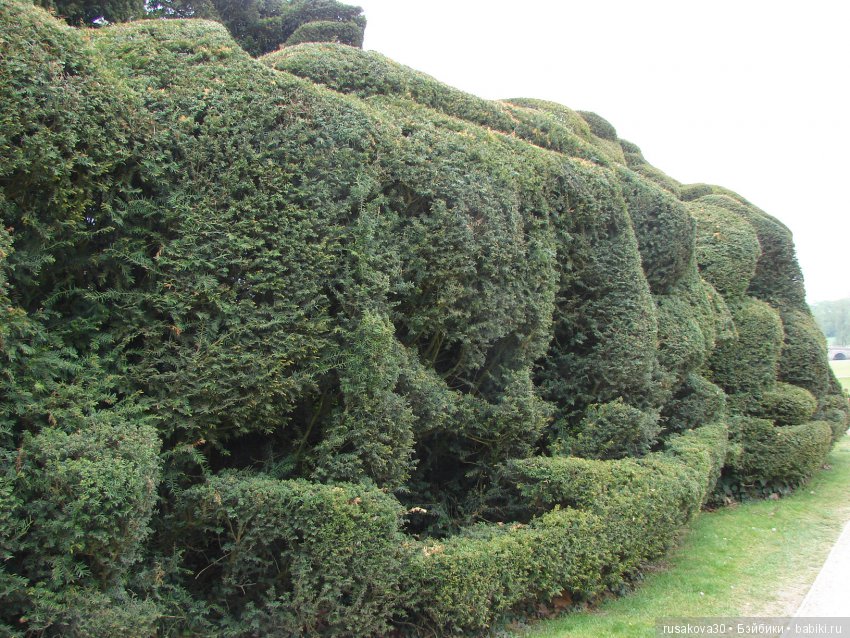 Особняк Одли Энд (Audley End House ),все в сад