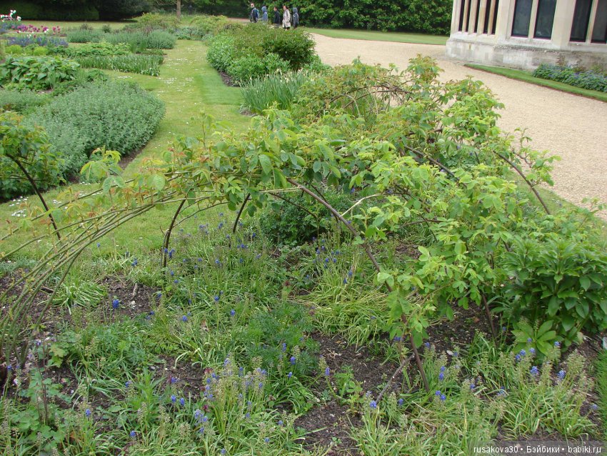 Особняк Одли Энд (Audley End House ),все в сад
