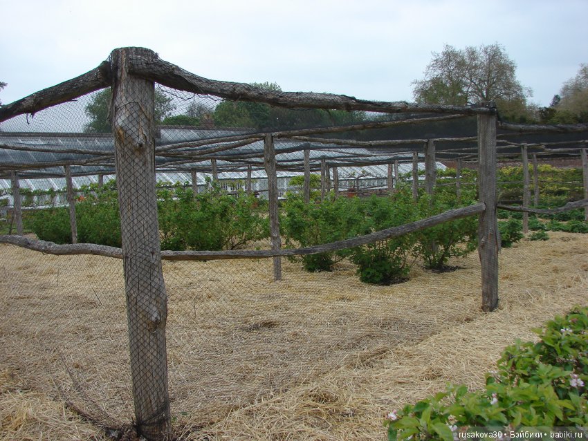 Особняк Одли Энд (Audley End House ),все в сад