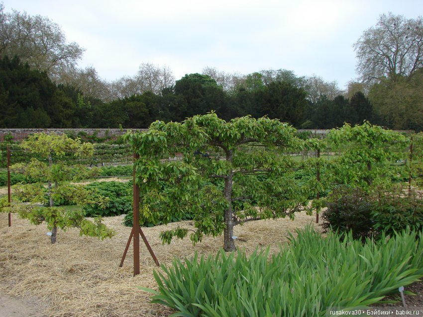 Особняк Одли Энд (Audley End House ),все в сад