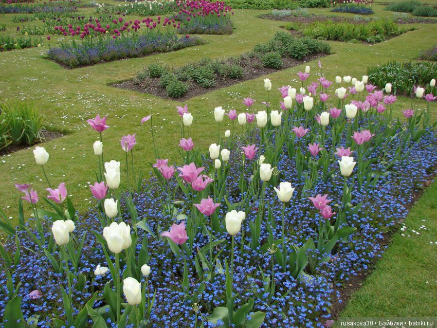 Особняк Одли Энд (Audley End House ),все в сад (фото 8)