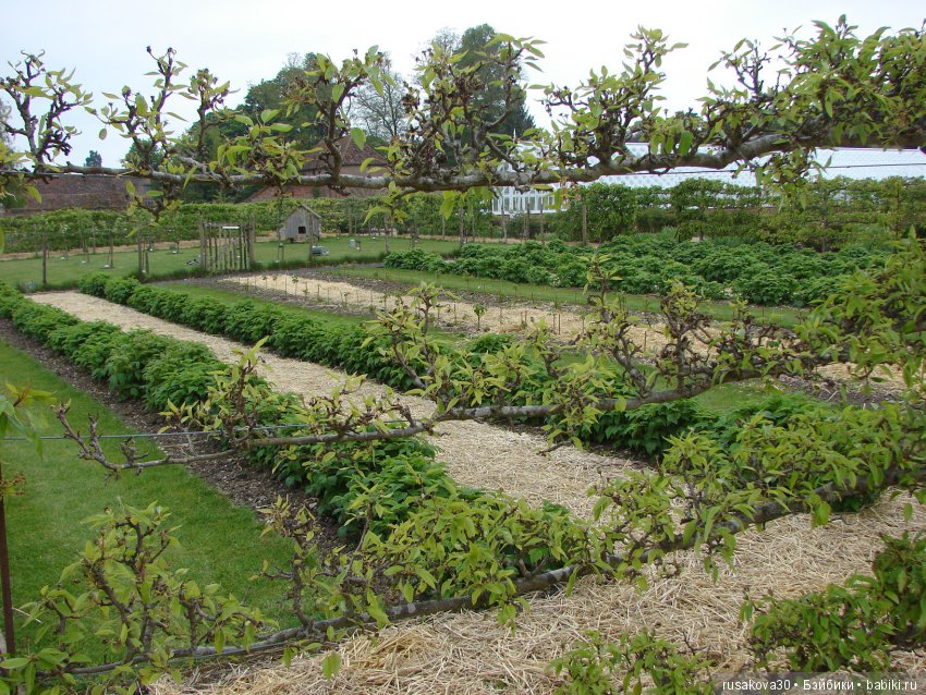 Особняк Одли Энд (Audley End House ),все в сад