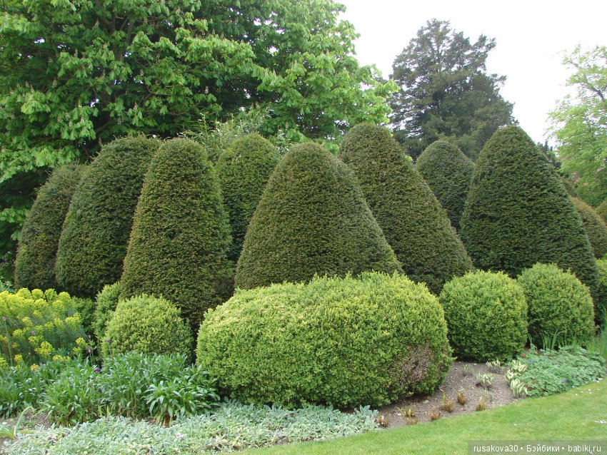 Особняк Одли Энд (Audley End House ),все в сад