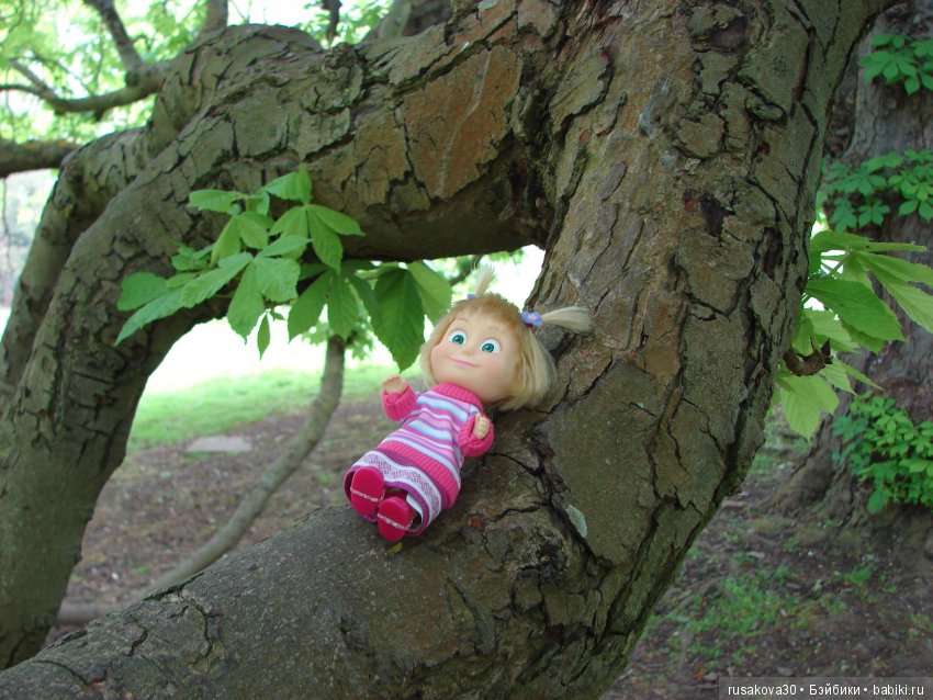 Особняк Одли Энд (Audley End House ),все в сад