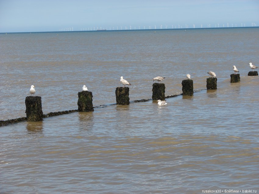Куклы и море — Игровые куклы разных производителей (Разное): редкие бренды (фото 4)