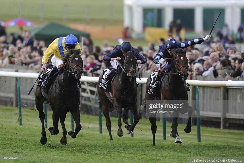 Антикварный базар в маленьком английском городке Нью́маркет ( Newmarket)