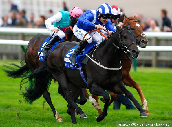 Антикварный базар в маленьком английском городке Нью́маркет ( Newmarket) (фото 2)