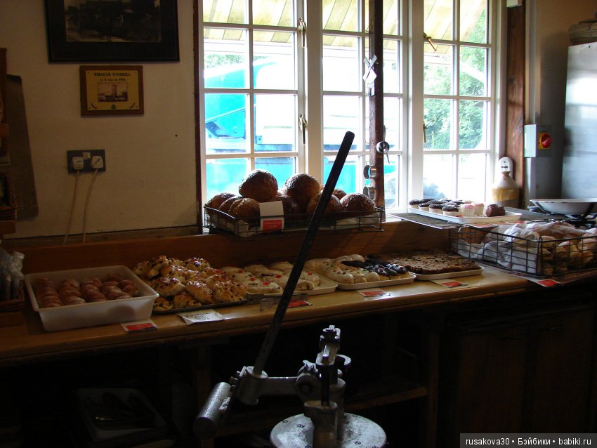 Как Пенни и Машка мельницу осматривали (фото 6)