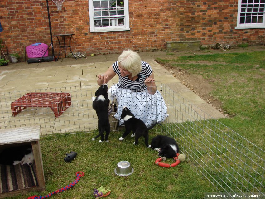 Как Пенни и Машка мельницу осматривали