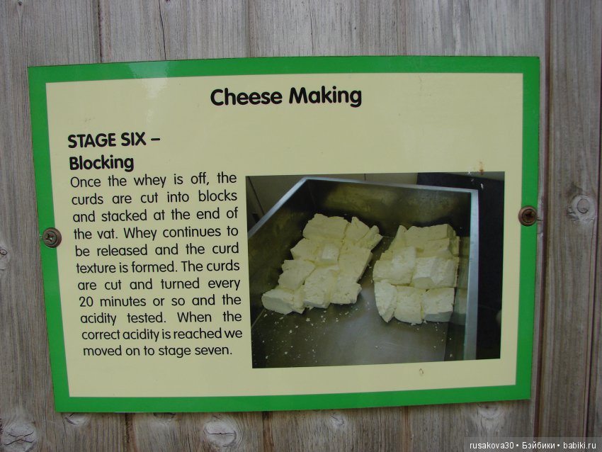 Как Пенни и Машка мельницу осматривали