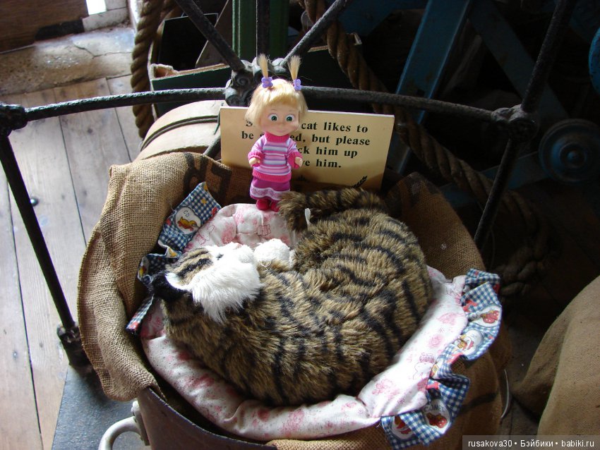 Как Пенни и Машка мельницу осматривали