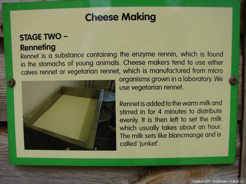 Как Пенни и Машка мельницу осматривали