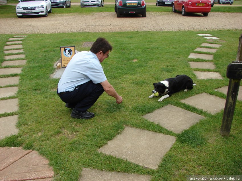 Как Пенни и Машка мельницу осматривали