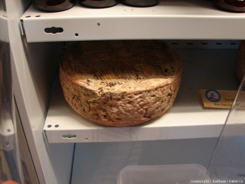 Как Пенни и Машка мельницу осматривали (фото 10)