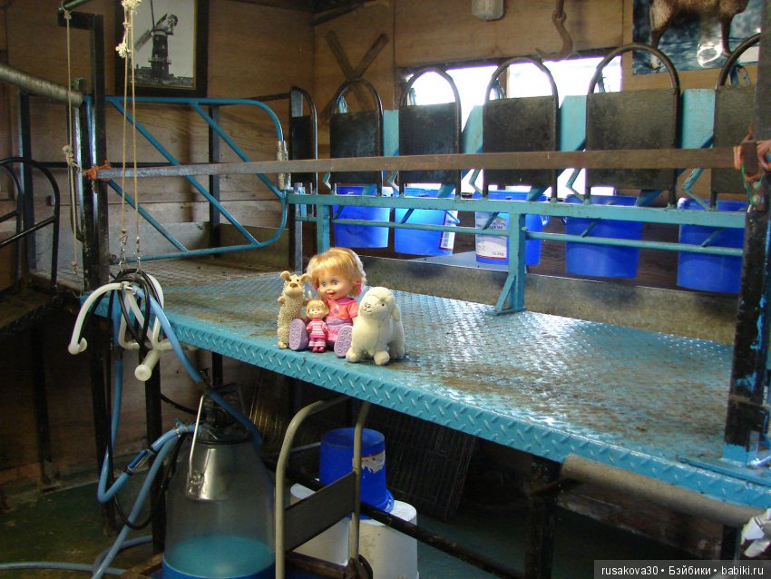 Как Пенни и Машка мельницу осматривали