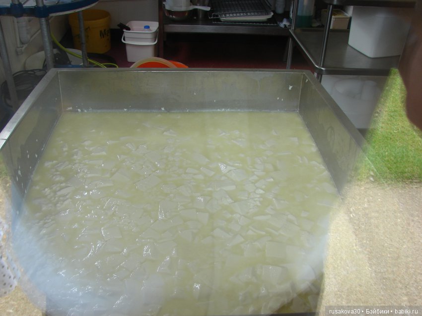 Как Пенни и Машка мельницу осматривали