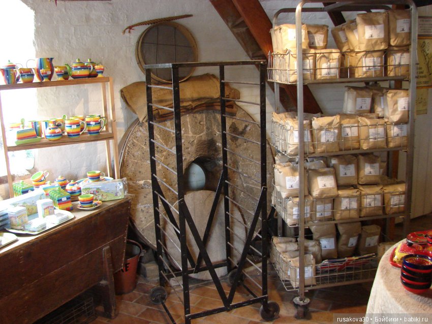 Как Пенни и Машка мельницу осматривали (фото 9)