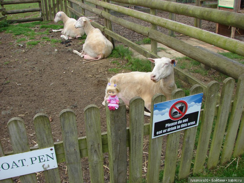 Как Пенни и Машка мельницу осматривали