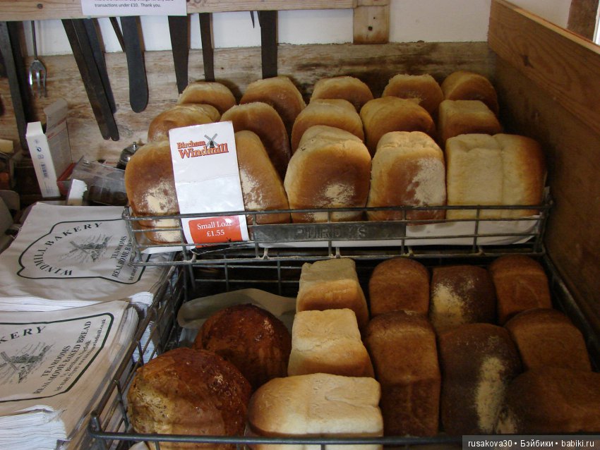 Как Пенни и Машка мельницу осматривали (фото 8)