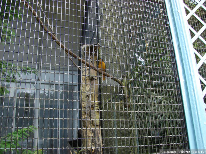 Сады ,поместья Уоддесдон — Туризм и путешествия: фотоотчеты из поездок