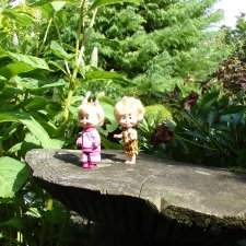 Садовая сказка или как мы фей искали