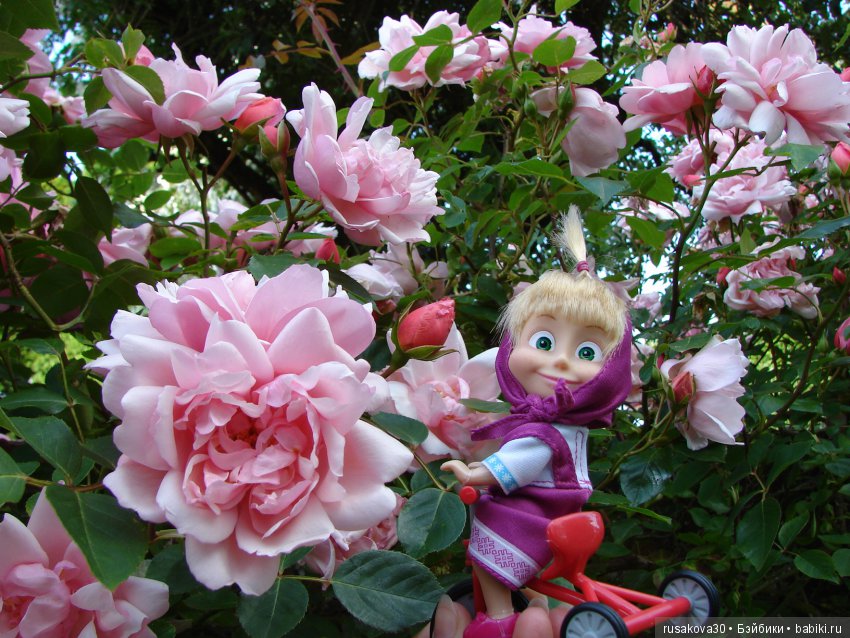 Лето, ах, лето! Лето звездное, будь со мной (фото 10)