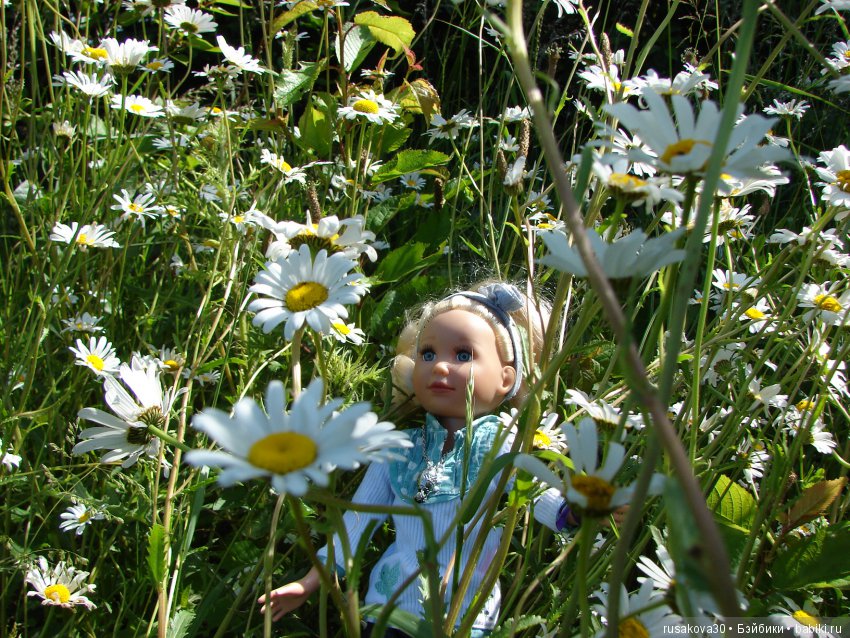 Лето, ах, лето! Лето звездное, будь со мной (фото 9)