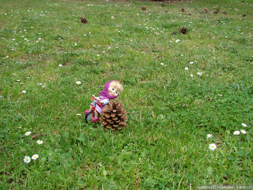 Лето, ах, лето! Лето звездное, будь со мной (фото 8)