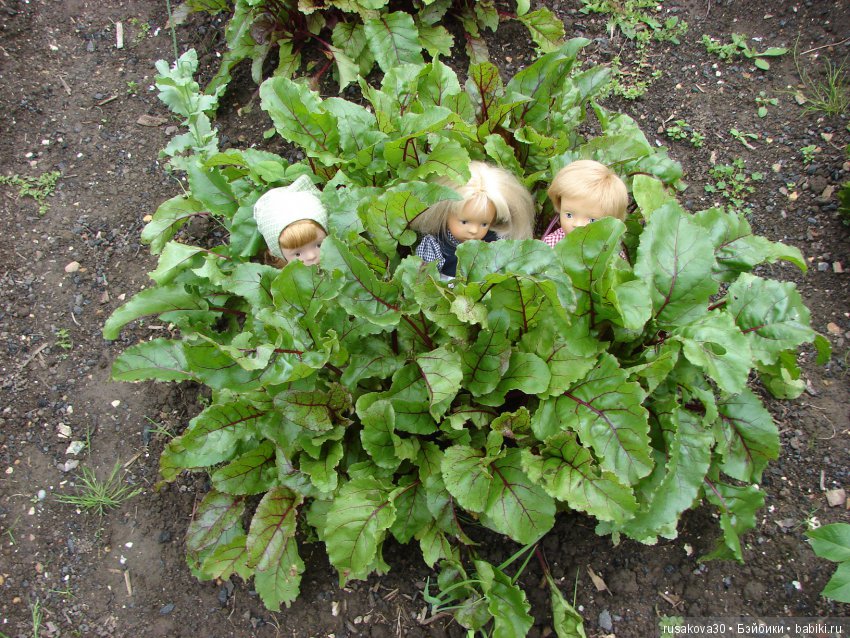 Ваше не-за-бы-вае-мое лето (фото 4)