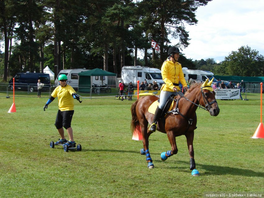 Как Машки на выставку животных ходили
