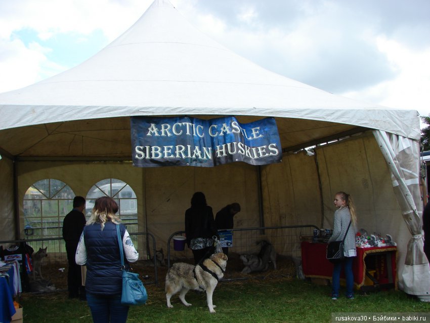 Как Машки на выставку животных ходили