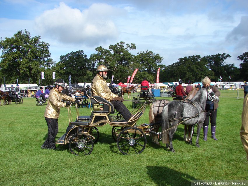 Как Машки на выставку животных ходили