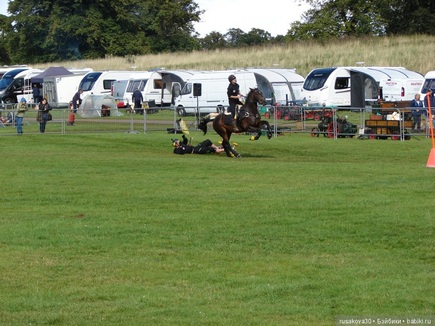 Как Машки на выставку животных ходили