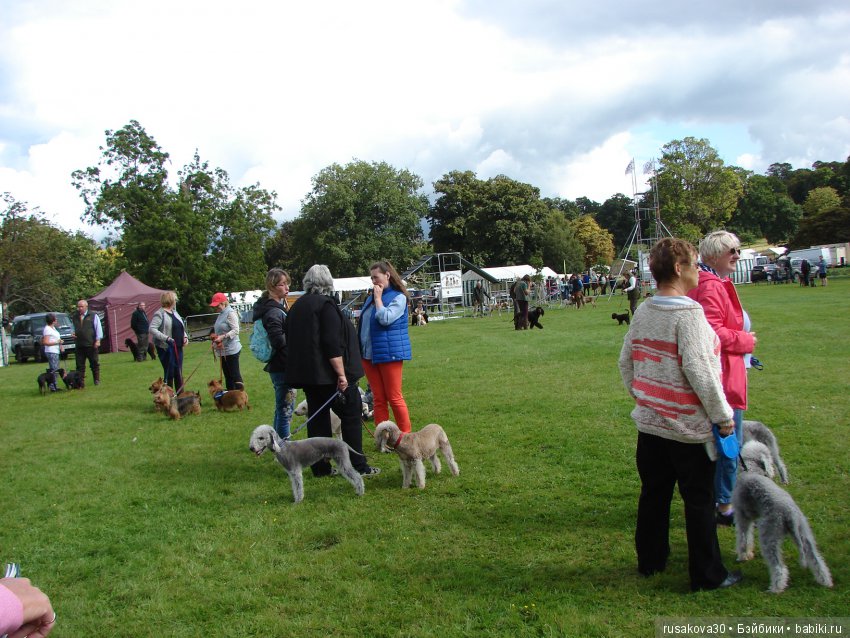 Как Машки на выставку животных ходили (фото 10)