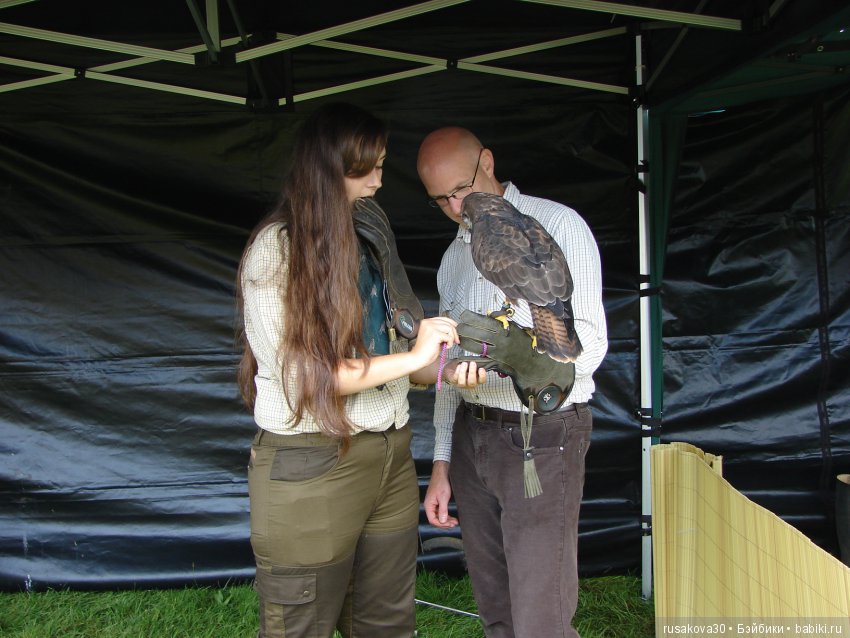 Как Машки на выставку животных ходили