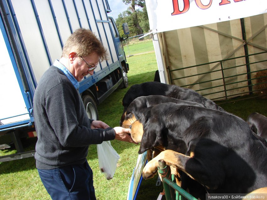 Как Машки на выставку животных ходили (фото 4)