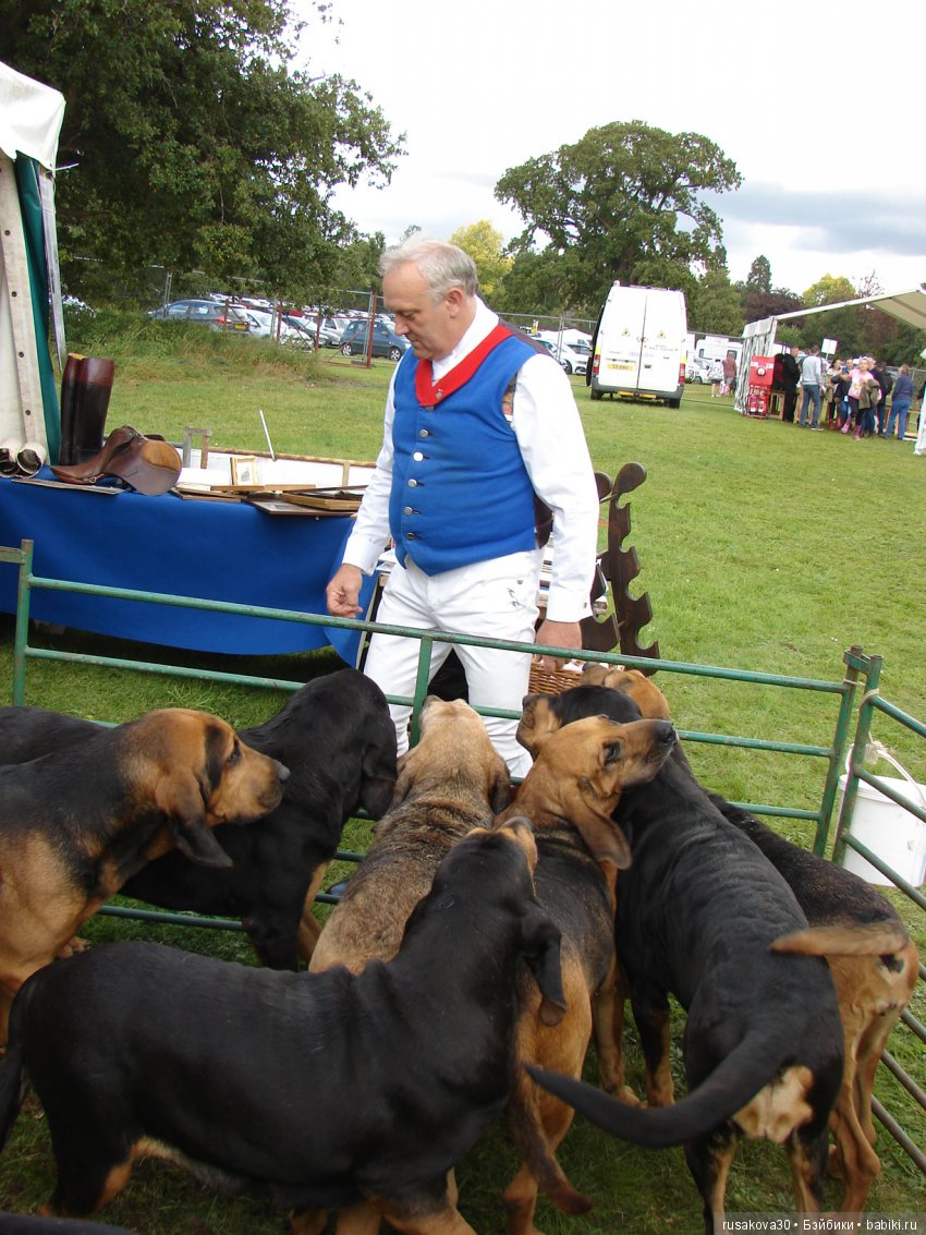 Как Машки на выставку животных ходили (фото 7)