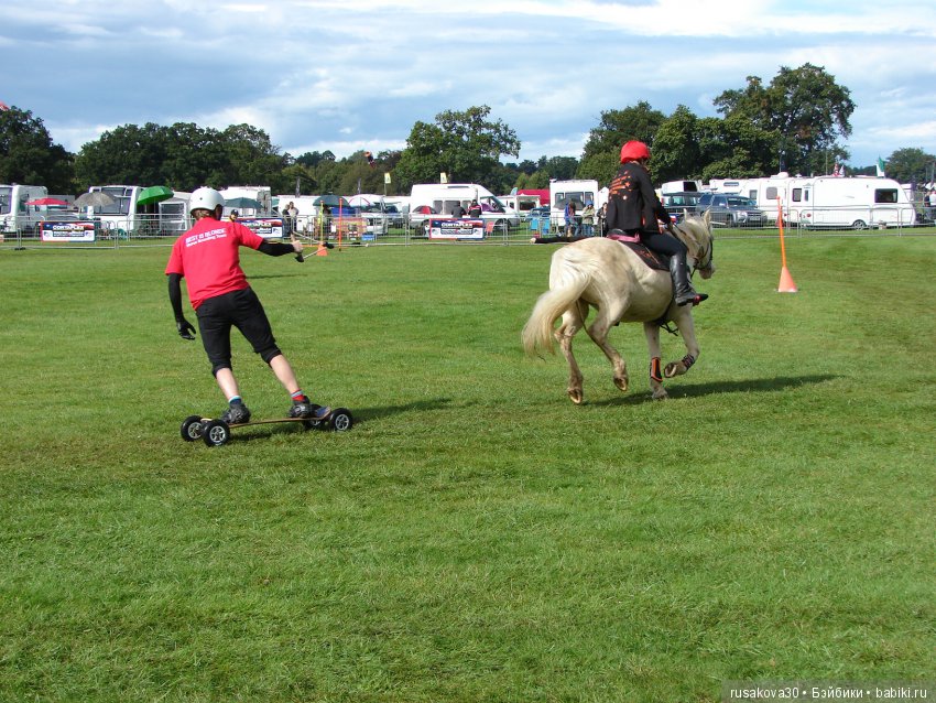 Как Машки на выставку животных ходили