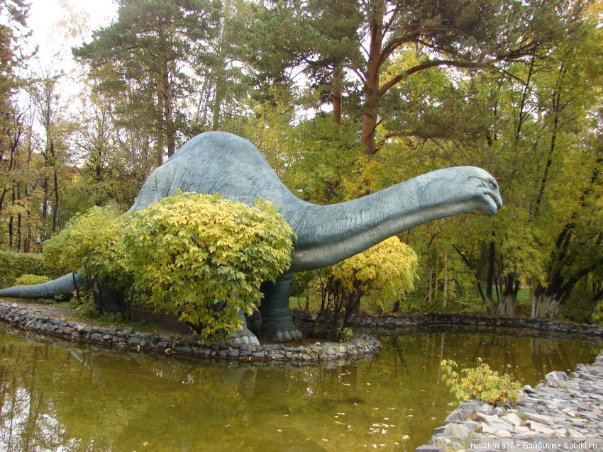 Как новенькая Машка побывала в зоопарке